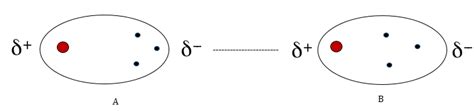 Learn about van+der+waals+forces with free interactive flashcards. How Do Van Der Waals Forces Hold Molecules Together ...