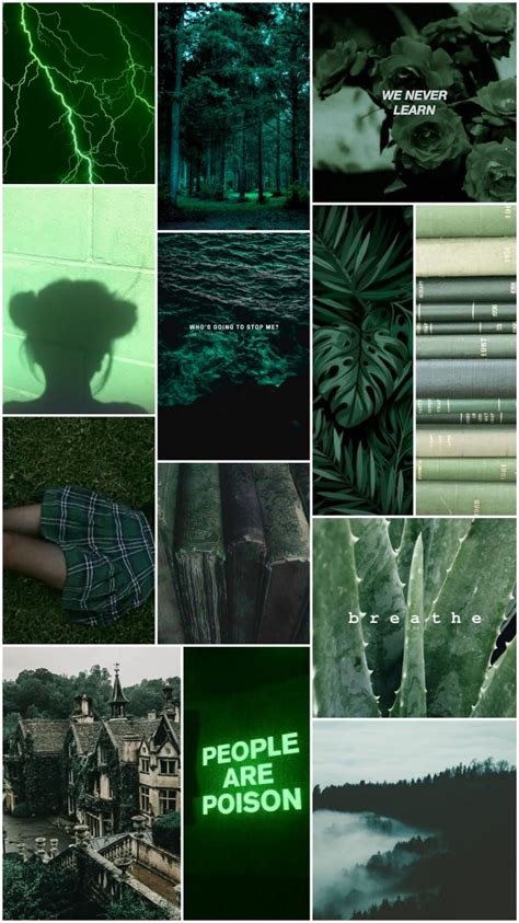 Color Themes Colors Green Aesthetic Slytherin Shades Of Green Sage