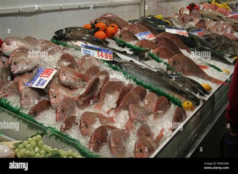 Sydney Fish Markets Pyrmont Sydney Nsw Australia Stock Photo Alamy