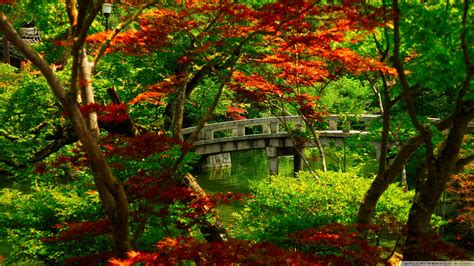 Japanese Green Wallpapers Top Free Japanese Green Backgrounds