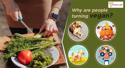 Benefits Of Going Vegan Why Are People Turning Vegan Tentaran