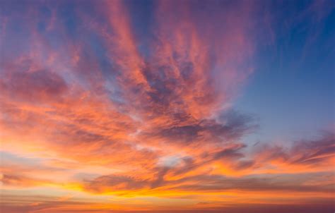 Wallpaper The Sky Clouds Sunset Background Pink