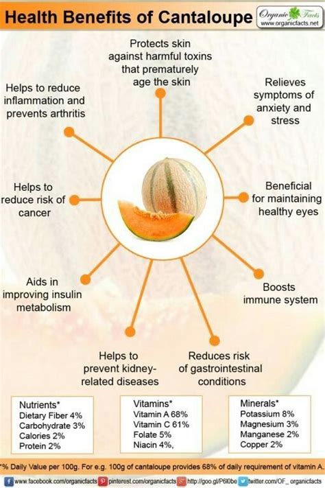 Health Benefits Of Cantaloupe Does Nature Provide Us With Everything