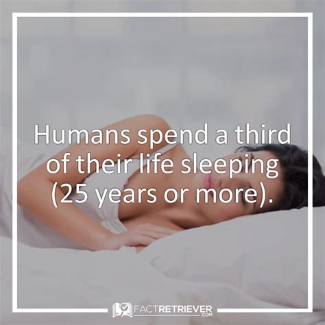 63 Interesting Facts About Sleep Human Body Facts Fun Facts Facts