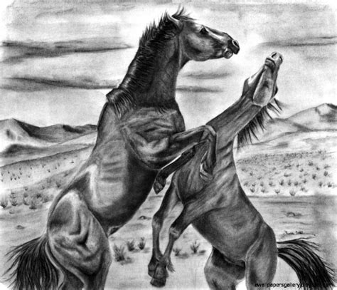 Wild Horses Drawing Wallpapers Gallery