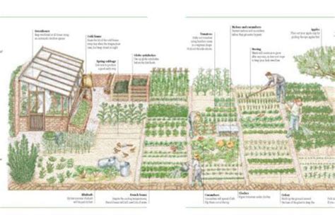 Image Result For 5 Acre Homestead Layout Vegetable Garden Planning