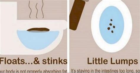 Infographic What Does Your Poo Say About You