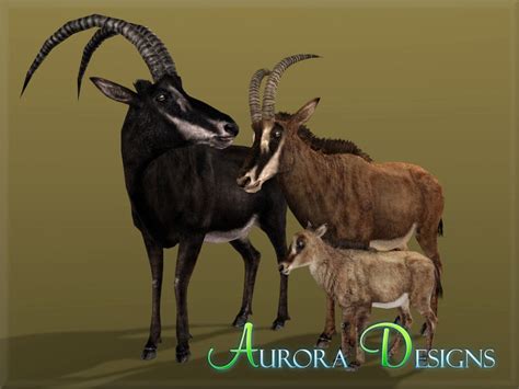 Giant Sable Antelope Aurora Designs Zt2 Download Library Wiki
