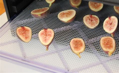 Drying Figs 3 Ways To Dry And Preserve Figs At Home Drying All Foods
