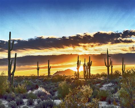 Arizona Sunrise And Saguaro Photograph By Don Schimmel Fine Art America