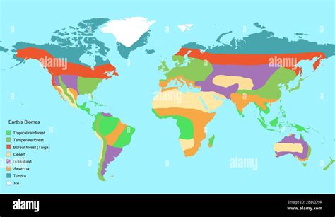 Map Of Earth S Major Global Biomes Including Tropical Rainforest