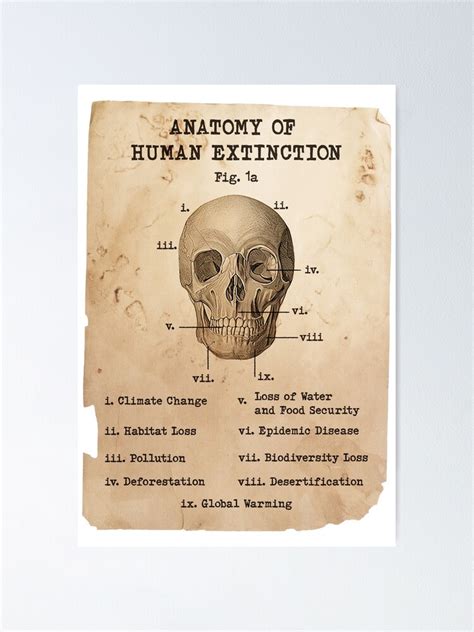 Human Extinction Human Skull Climate Crisis Scientific Diagram