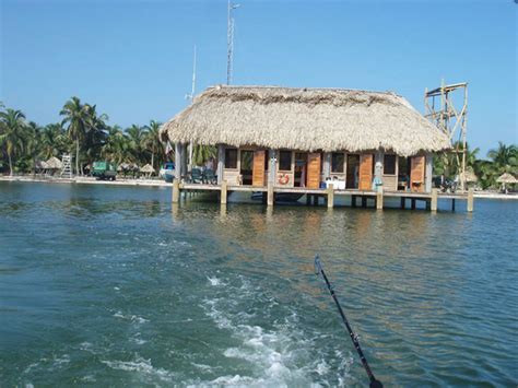 Private Islands For Sale Water Caye Belize Central America