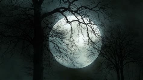 Time Lapse Of Moon Full Moon Night Mystical Horror Nightmare Spooky