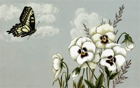 Super Pretty Butterfly With Pansies Image The Graphics Fairy