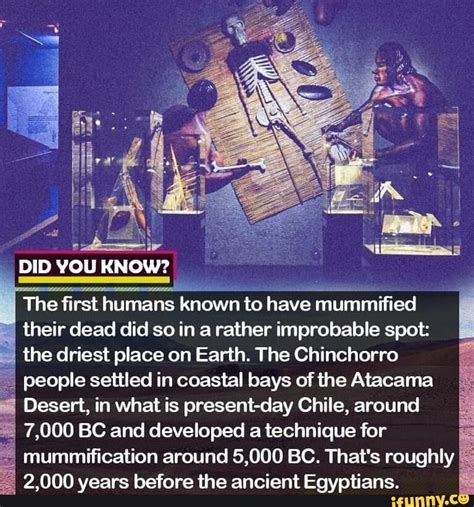 did you know the first humans known to have mummified i their dead did so in a rather