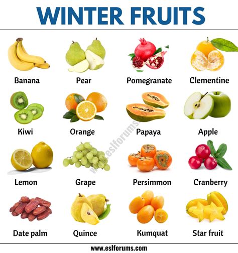 33 Winter Fruits Different Types Of Fruits You Can Find In The Winter