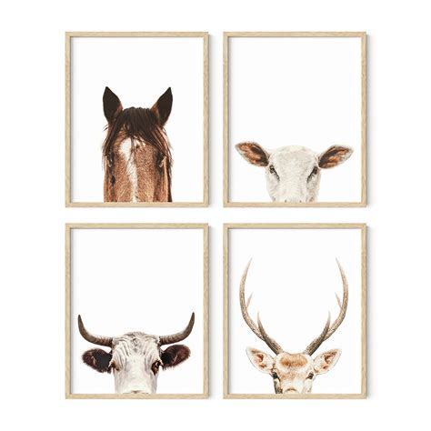 Buy Haus And Hues Set Of 4 Rustic Farm Animal Pictures Horse Deer Cow