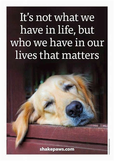 So Very True Dog Quotes Dog Love Dog Life
