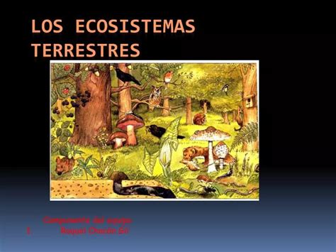 Ppt Ecosistemas Terrestres Powerpoint Presentation Free To View The