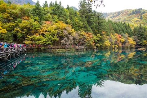 Reed Lake Jiuzhaigou National Park Stock Photos Free And Royalty Free