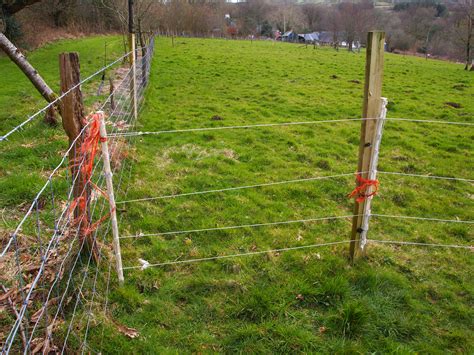 So, he came to us asking for help to select the best type of gate fence eh. Electric Fencing to Manage Grassland - Scythe Cymru
