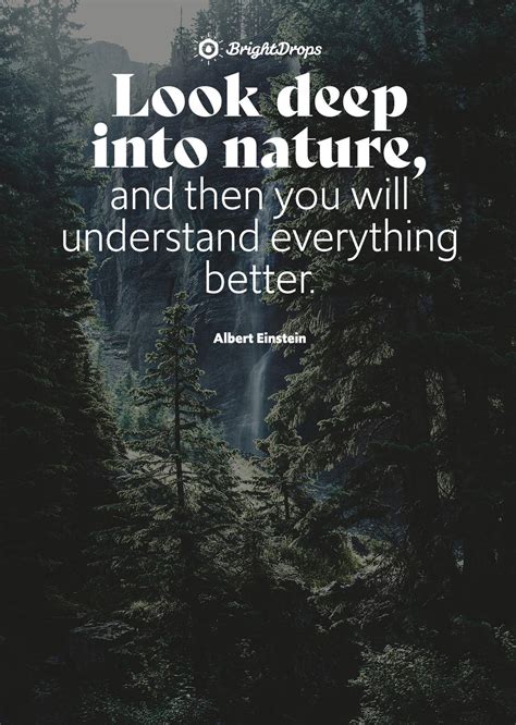 Inspirational Nature Quotes On Life And Its Natural Beauty