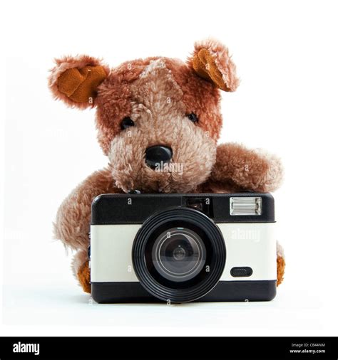 Collection 91 Images Teddy Bear With Camera In It Full Hd 2k 4k