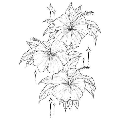 Hibiscus Flower Outline Drawing Black And White Lineart Flower Drawing
