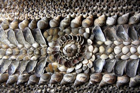 The Margate Shell Grotto Mystery Secret History