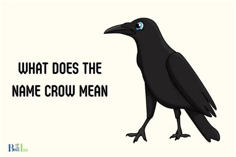 What Does The Name Crow Mean Appearance