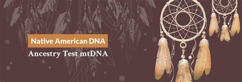 Native American Dna Ancestry Test Mtdna