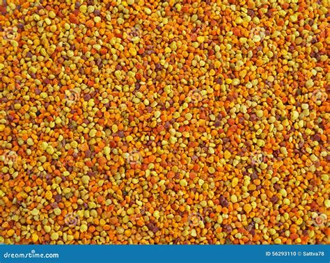 Bee Pollen Stock Photo Image Of Apitherapy Food Multicolor 56293110