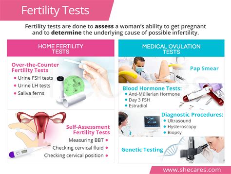 Click Our Infography To Learn Everything About Home And Medical Fertility Tests That Can Help