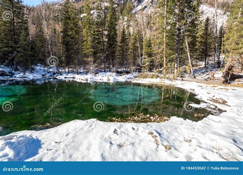 Blue Geyser Lake In Altay Mountains Stock Photo Image Of Forest