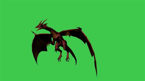 3d Animation Of Dragon In Fly Separated On Stock Motion Graphics Sbv