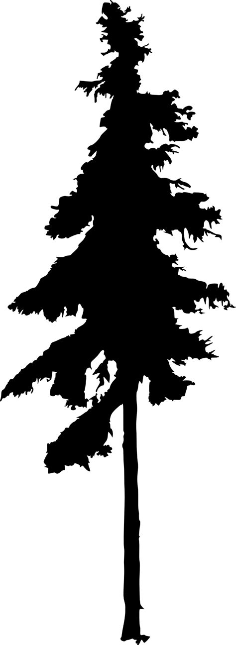 Pine Tree Silhouette Clip Art At Getdrawings Free Download