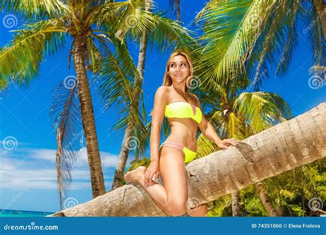 Bikini Palm Tree Hot Sex Picture