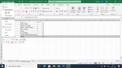Inserting Rows In Vba 6 Methods To Try Vba And Vbnet Tutorials