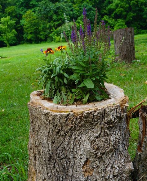 15 Excellent Tree Trunk Ideas To Decorate Your Garden The Art In Life