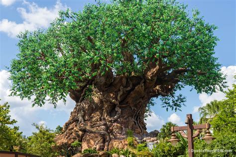 The list below provides a general overview. Animal Kingdom - Double Your WDW