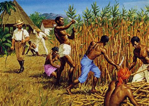 Slaves Working On Plantations Clipart
