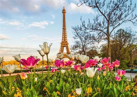 Primavera En París árbol Torre Eiffel Flores Colores Tulipanes