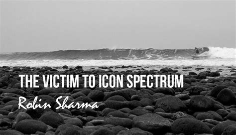 The Victim To Icon Spectrum