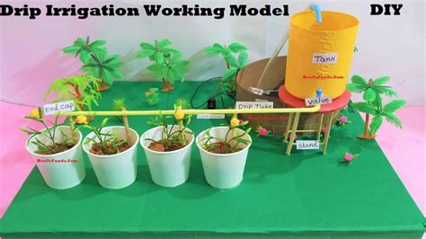 Drip Irrigation Working Model Science Fair Project Diy At Home