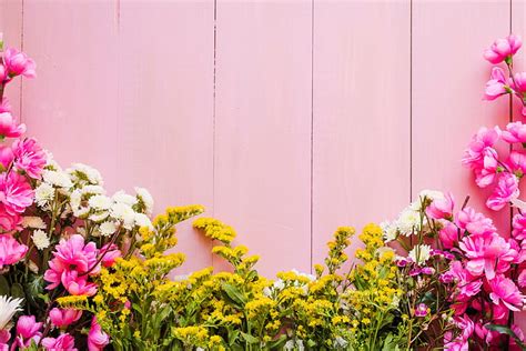 Hd Wallpaper Flowers Background Pink Wooden Spring Floral