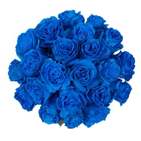 Farm Direct 100 Real Fresh Cut Blue Roses Exotic And