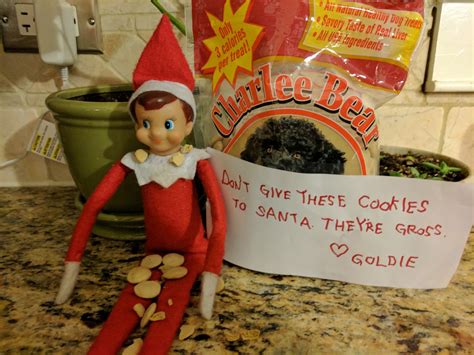 Our Elf Got Confused