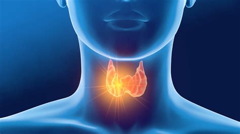 Thyroid Thyroid Disorders Everything You Need To Know Halza With