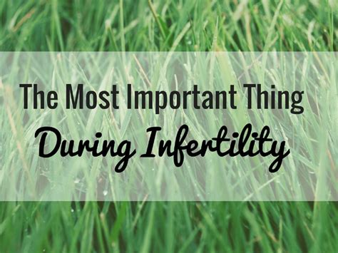 the most important thing during infertility amateur nester
